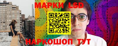 стаф Донской