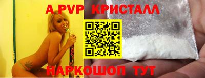 стаф Донской