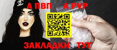 стаф Донской