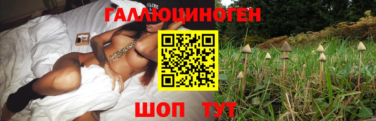 Псилоцибиновые грибы MAGIC MUSHROOMS  Вход с VPN  цена наркотик  Луга 